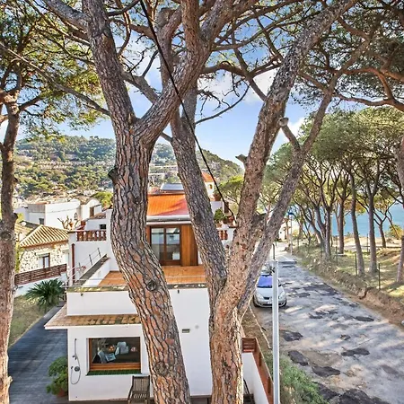 Anc 08 - Apartman Llafranc
