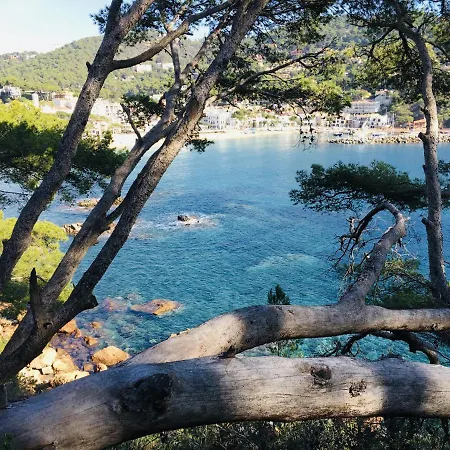 Anc 08 - 러프렌치